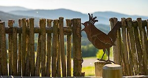 Gartenanlage im Bergdorf Sterr